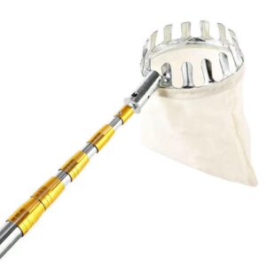 Fruit Picker – Diameter 10 cm